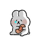 도담도담동물병원 이미지