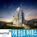 마이투스 이미지