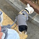 왈츠동물병원 이미지