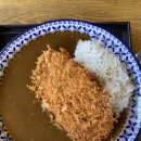 유연카레 | 서초역 2번출구 점심 맛집 일식 유연카레