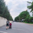 카페비누벨