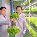 스마트팜 이미지