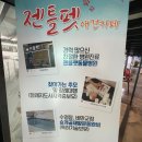 젠틀펫 이미지