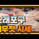 김장배추 새우젓 시세입니다 이미지