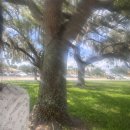 인프릭스인터내셔널(주) | [미국 교환학생 일기] UCF OT/ALDI/DALLAR TREE/TARGET/CHASE BANK/COCOA BEACH