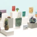 (주)현대에프앤씨 이미지