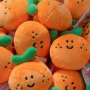 제주달다 이미지