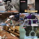 송치농장 이미지