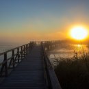 노래를찾는사람들 이미지