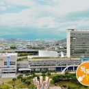 광주광역시 시립도서관 이미지