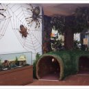 인천나비공원 이미지