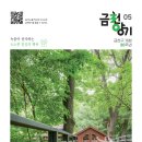 서울시립교향악단과 함께하는 「우리동네 음악회 실내악」 이미지