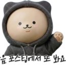 일만민물장어