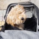 살롱드미미즈 이미지