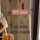 숲(sooop)