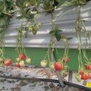 세은농장 이미지