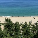 바다정원 이미지