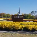 원수택로 이미지