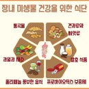장내 미생물 완벽 가이드: 검사, 음식, 건강 관리