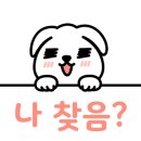 잭슨이네 개스트하우스 이미지