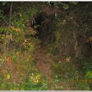 원묵산장 이미지