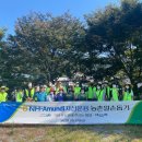 포도향이흐르는마을 이미지