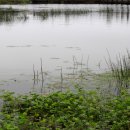 남생이못 습지생태 관찰원 이미지