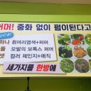 요하솔루션