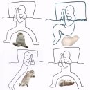 태권도 다움 | 그럼 그냥 9월 진행할께요