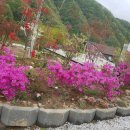 쉴휴하우스 이미지