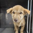 최동물병원 이미지