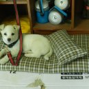 장혁농장 이미지