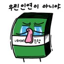 착한쭝식 이미지