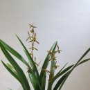 산천플라워