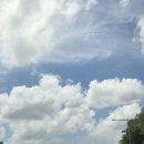 포시즌풀하우스 이미지