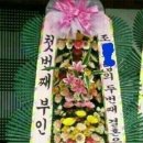 바람 피다 죽은 놈 이미지