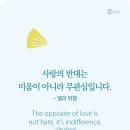 무관심입니다 이미지