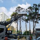 장신휴먼시아3단지 이미지