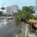 인천지방경찰청 앞 이미지