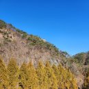 장태산 자연 휴양림 이미지