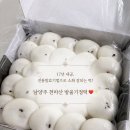 방울아이증편전문점 | 떡간식 선물 추천 🎁] 17년 전통 ♥️ 전통발효 남양주 명물 ✅, 천마산 방울 기정떡 후기❕(부모님 선물 추천✨)