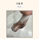 도하동물병원 이미지