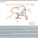 자진뱅이산벚꽃 이미지