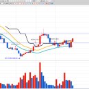 엔에스건설기계 이미지
