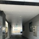 효소를담다, 효담 이미지