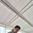 용안 농장 이미지