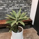 해맑은 목공방 이미지