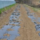 오방농장 이미지