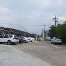 바래기암소한마리 이미지