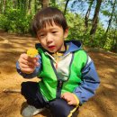 모라산림공원 이미지